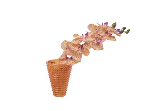 Destina Bloom Çiçek Standart