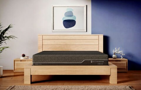 Graphene Dream Yatak