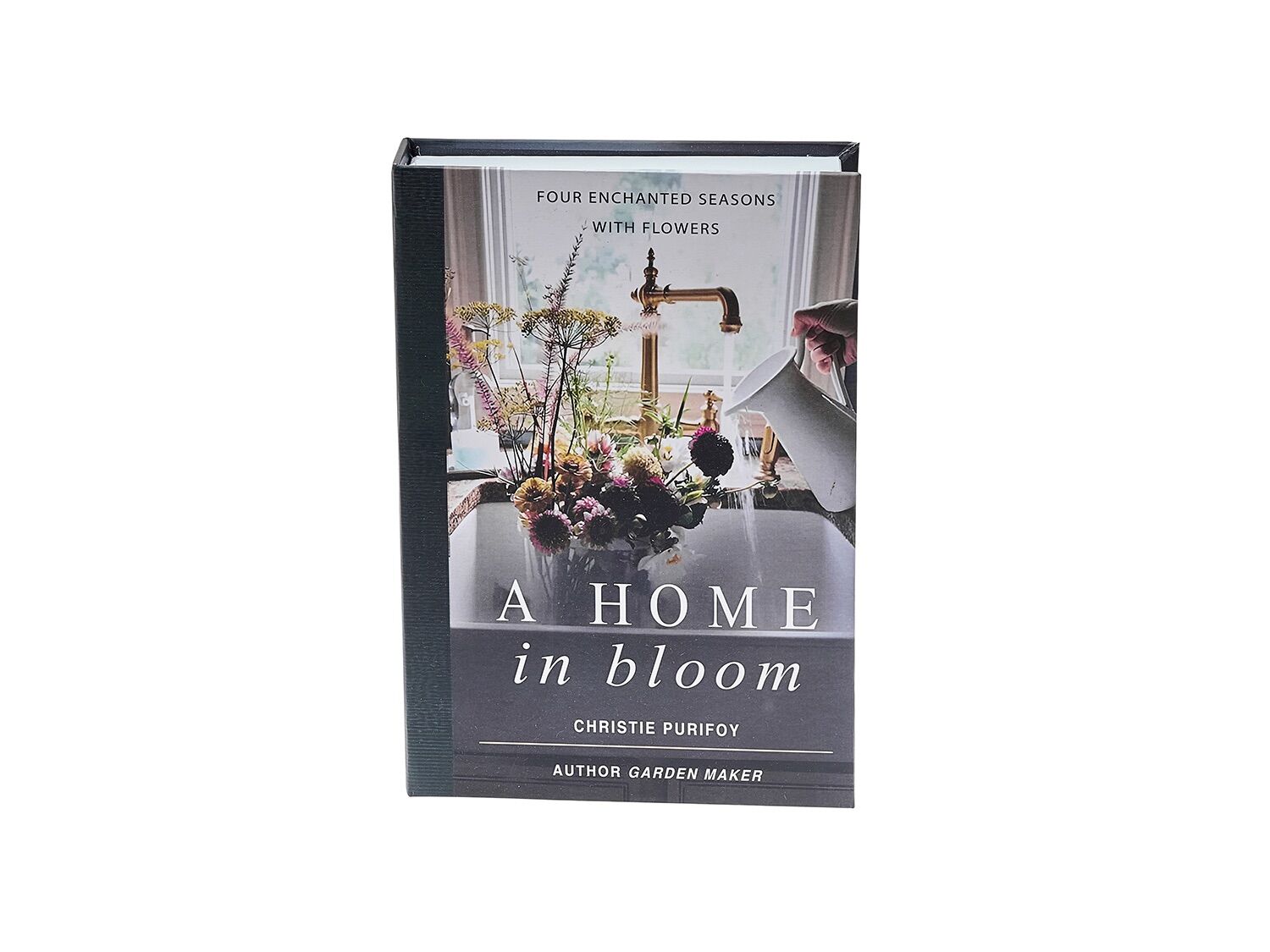 Rosita Ahome Kitap Kutu