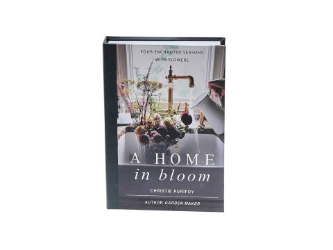 Rosita Ahome Kitap Kutu