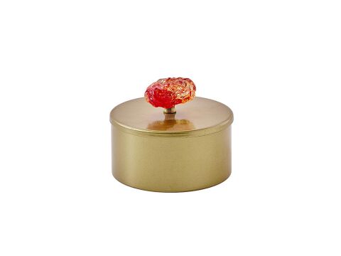 Marietta Gold Dekoratif Kutu